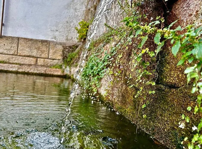 Appartement Solgredos *